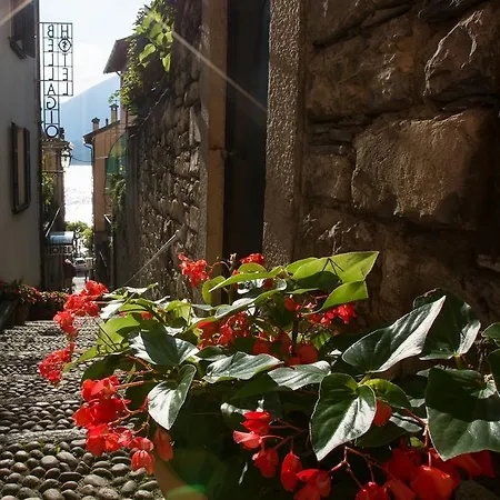 贝拉吉欧酒店 贝拉焦