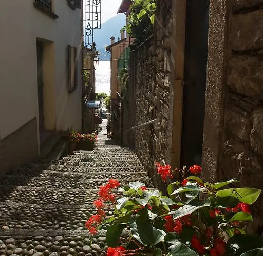 Hotel Bellagio Hotel Bellagio